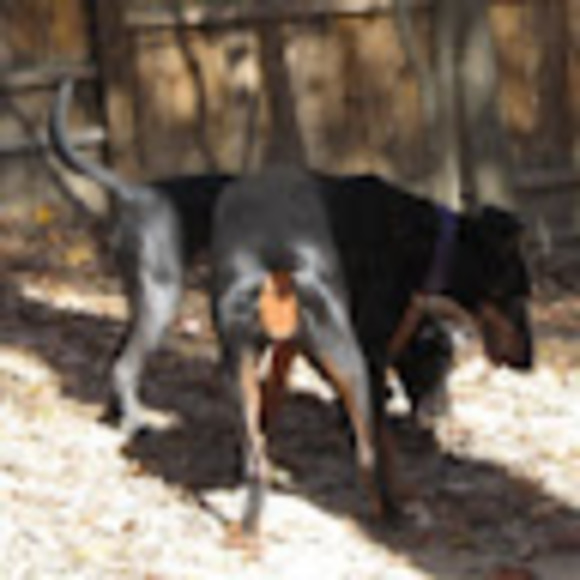 Meet your Posher, Jennifer - Picture 1 of 1